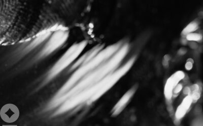 NewEdge Investment Solutions Crosses $3.5 Billion a Year After Inception