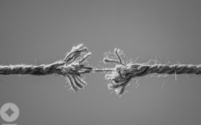 Catalysts Appearance: “People are shedding what they feel like are the most expensive parts of the portfolio,” says NewEdge Wealth’s Brian Nick