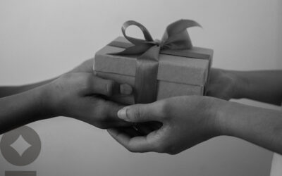 Choose Your Own Adventure: A Journey Through Charitable Giving Options