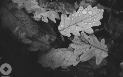 Waiting for November: How Long Can the U.S. Labor Market Stay Resilient?