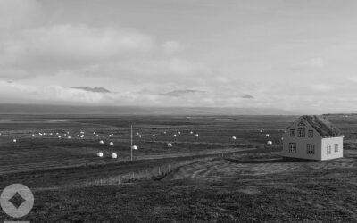 There’s No Place Like the U.S. Housing Market