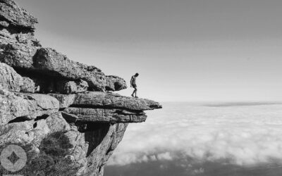 Livin’ on the Edge: Implications of Election 2024