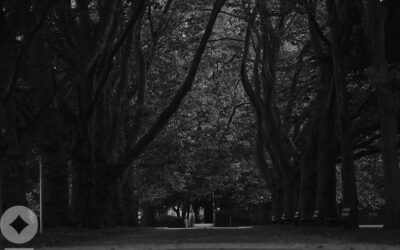 Quarterly Outlook: The Space Between