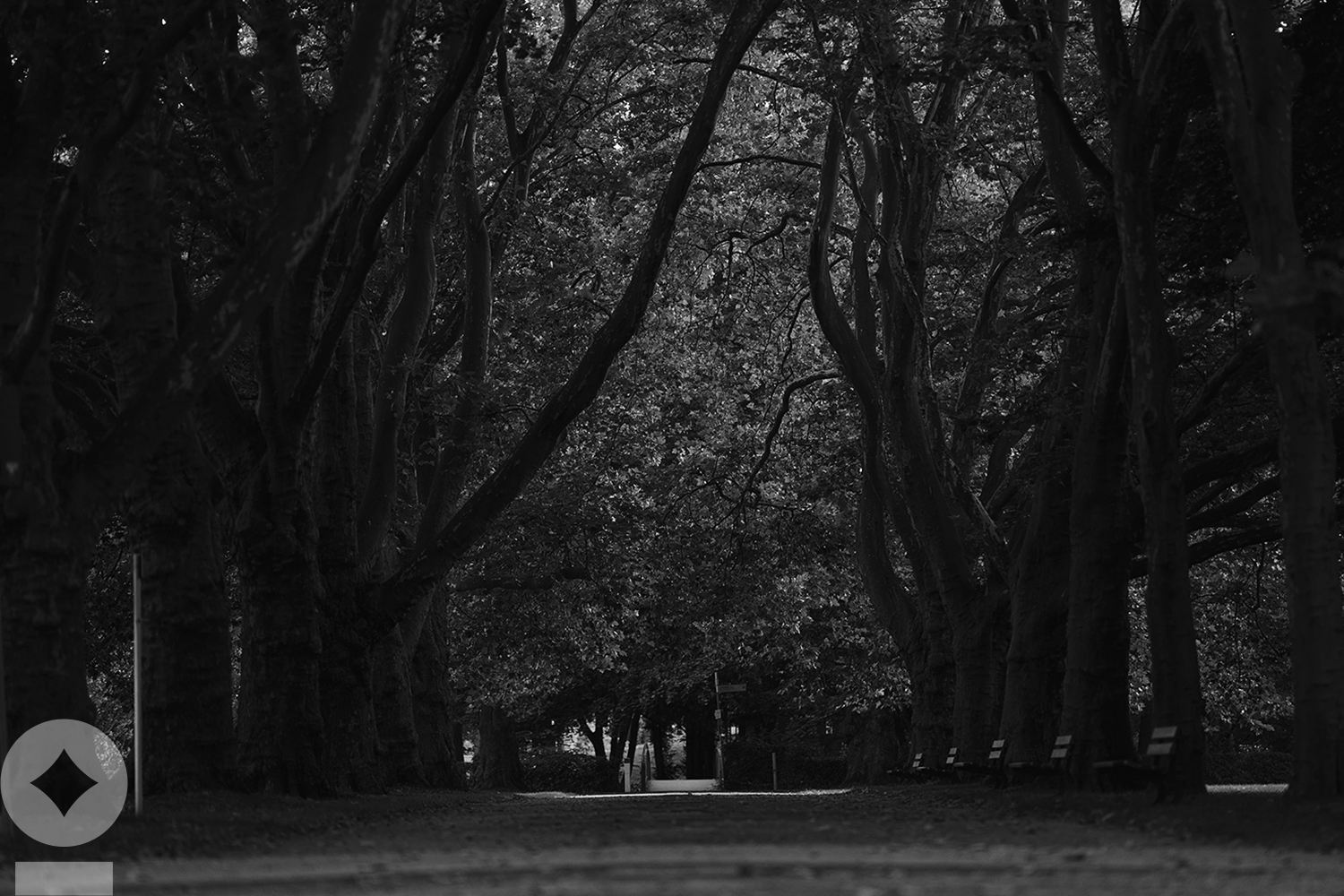 American flag flying over government building in city, blue sky and clouds