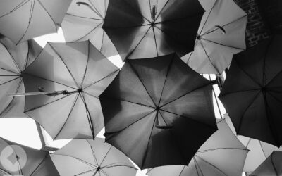 No Rain: Implications of Resilient Data on Markets