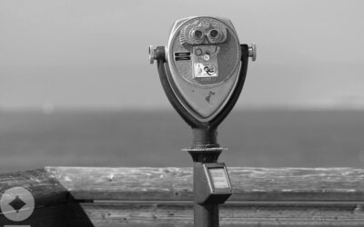 Looking for Clarity After the Summer of Mud