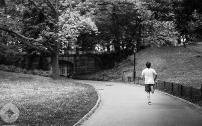 Carry On My Wayward Son: U.S. Equity Fourth Quarter Earnings Preview