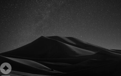 A New Hope? Economic and Policy Considerations into Year End